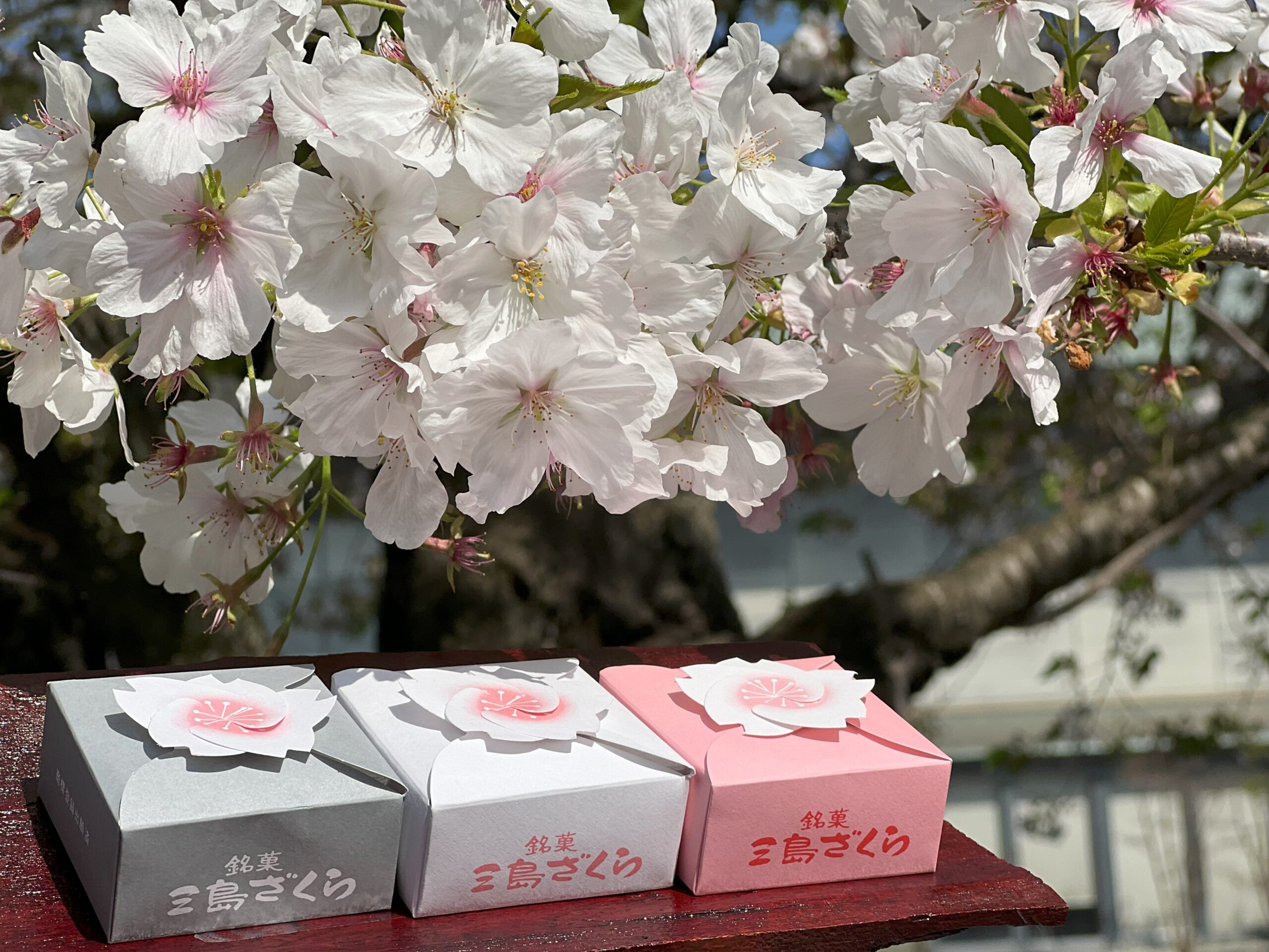 スライド